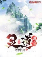 《灵道通宝》小说封面