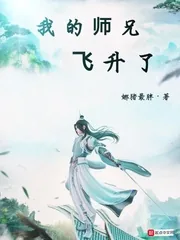 《我的师兄飞升了》小说封面