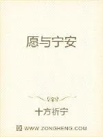 《愿与宁安》小说封面
