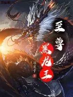 《至尊黑龙王》小说封面