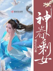 《神眷剩女》小说封面