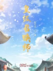 《皇级召唤师》小说封面