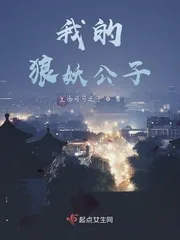 《我的狼妖公子》小说封面