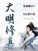 《大明修真》小说封面