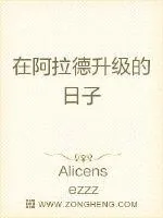 《在阿拉德升级的日子》小说封面