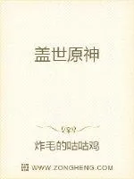 《盖世原神》小说封面