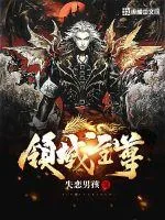 《领域至尊》小说封面