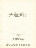 《天道孤行》小说封面
