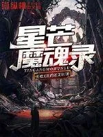 《星芒魔魂录》小说封面