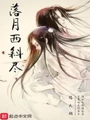 《落月西斜尽》小说封面