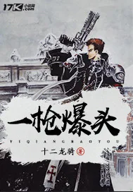 《一枪爆头》小说封面