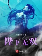 《陛下无双》小说封面