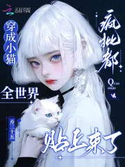 《穿成小猫，全世界疯批都贴上来了》小说封面