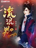 《流浪男二》小说封面
