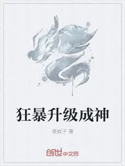 《狂暴升级成神》小说封面