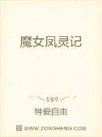 《魔女凤灵记》小说封面