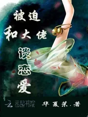 《被迫和大佬谈恋爱》小说封面