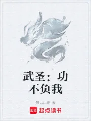 《武圣：功不负我》小说封面