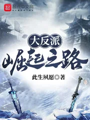 《大反派崛起之路》小说封面