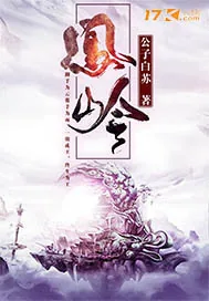 《凤岭》小说封面