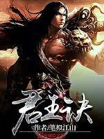 《君王诀》小说封面