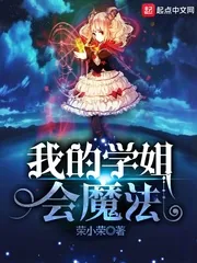 《我的学姐会魔法》小说封面