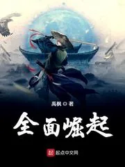 《全面崛起》小说封面