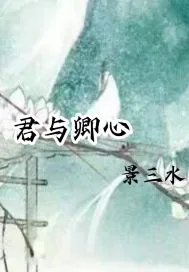《君与卿心》小说封面