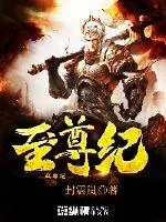 《至尊纪》小说封面
