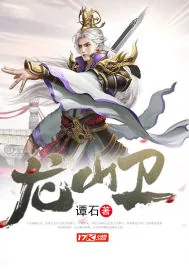 《龙山卫》小说封面