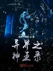 《异界之神王录》小说封面