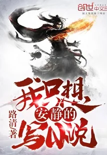 《我只想安静的写小说》小说封面