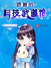 《奶爸的科技武道馆》小说封面