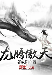 《龙腾傲天》小说封面