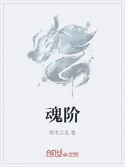《魂阶》小说封面