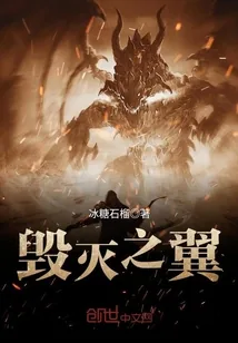 《毁灭之翼》小说封面