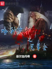 《哈利波特之兄弟会》小说封面
