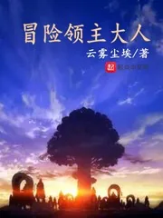 《冒险领主大人》小说封面