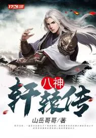 《八神轩辕传》小说封面