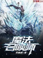 《魔法召唤师》小说封面