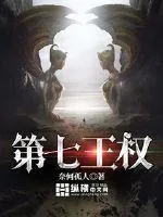 《第七王权》小说封面