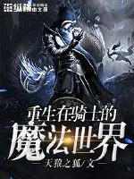《重生在骑士的魔法世界》小说封面