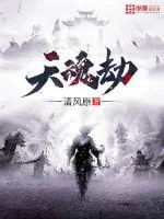 《天魂劫》小说封面