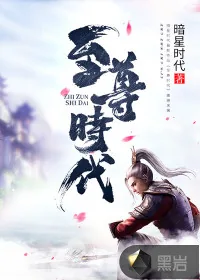 《至尊时代》小说封面