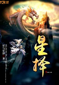 《星择》小说封面