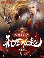 《异世争雄之乱世崛起》小说封面