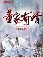 《董家有婿》小说封面