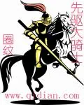《先驱大骑士》小说封面