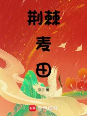 《荆棘麦田》小说封面