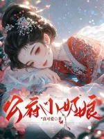 《公府小奶娘》小说封面